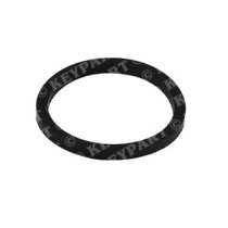 Seal Ring for Thermostat - Genuine