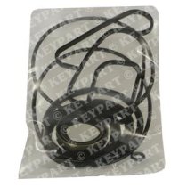 Lower Gear Seal Kit - DPS-A - Genuine